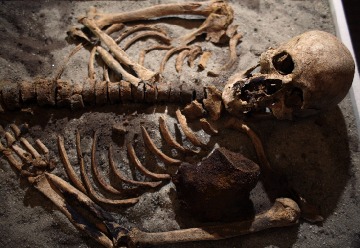 A skeleton pierced with a piece of iron is seen on display during a media event at the National History Museum in Sofia