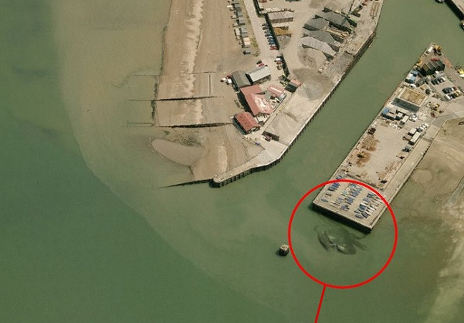 crabzilla