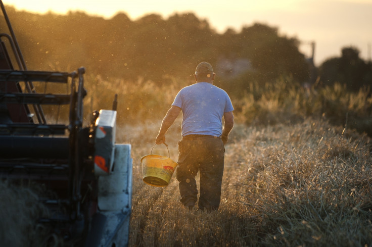 farmer