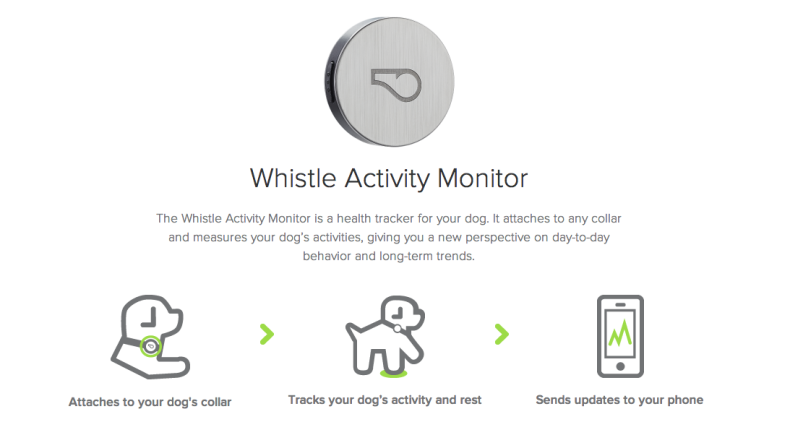Whistle Activity Monitor