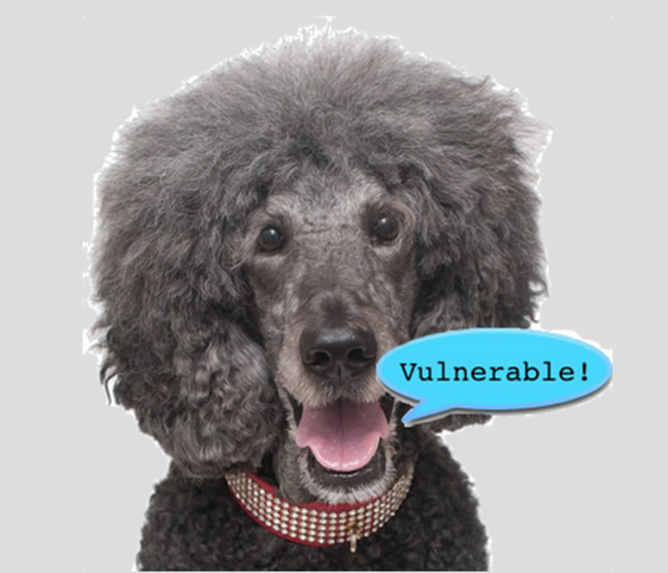 Poodle SSL Vulnerability