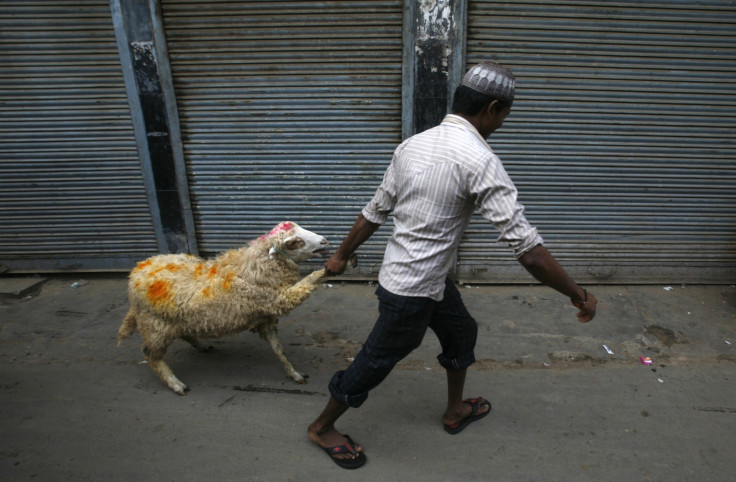 Sheep Eid