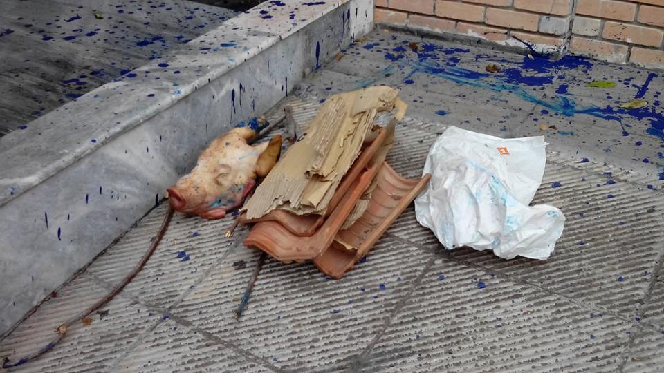 Greece Muslim Attack  Pigs Head Dumped Outside Athens Arab-Hellenic Institute