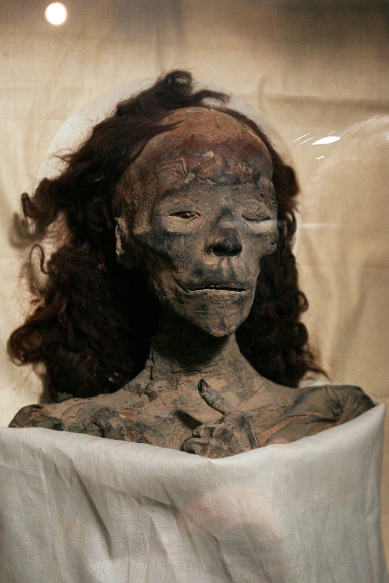 Queen Tiye, Tutankhamun's grandmother, at the Egyptian museum in Cairo