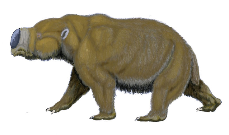 The wombasaurs, diprotodon (WikiCommons)