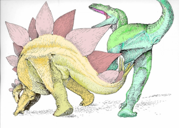 Paleontologist Robert Bakker believes that the spiky tail of the stegosaurus was used as a defensive weapon