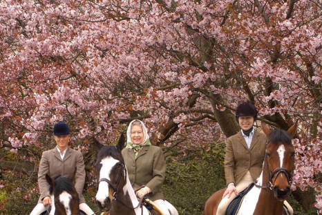 A picture showing Britain's Queen Elizabeth (C) with her daughter Princess Anne (R) and her granddaughter Zara Phillips riding at Windsor Castle during Easter, has been released by Buckingham Palace to mark the monarch's 78th birthday