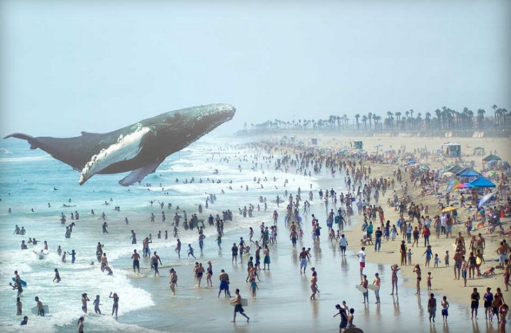 magic leap augmented reality