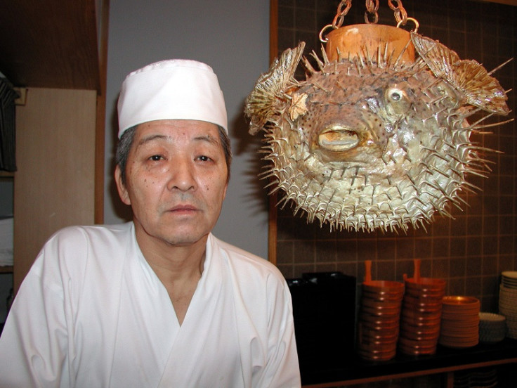 Sushi chef Juntaro Takagi poses with a pufferfish or 'fugu' at Japanese restaurant Chikubu. Pufferfish is considered a rare delicacy in Japan