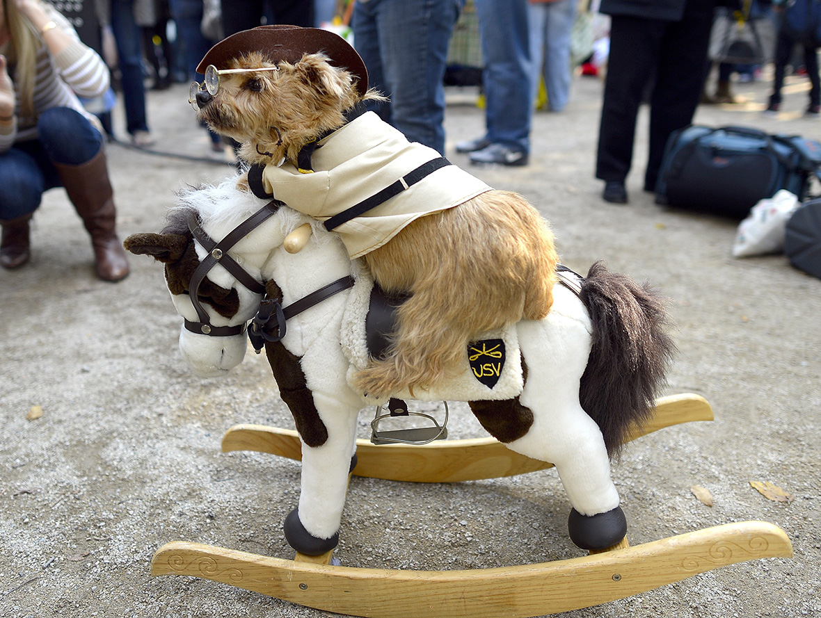 Halloween 2014: 24th Annual Tompkins Square Dog Parade in New York [Photos]