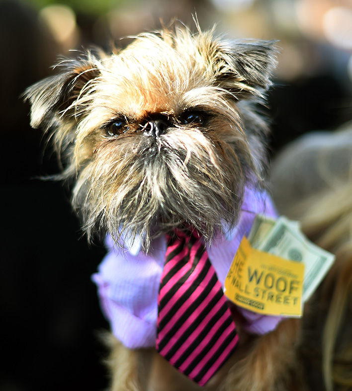 Halloween 2014: 24th Annual Tompkins Square Dog Parade in New York [Photos]