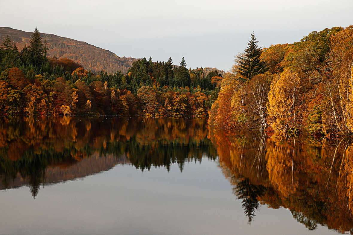 autumn reflection