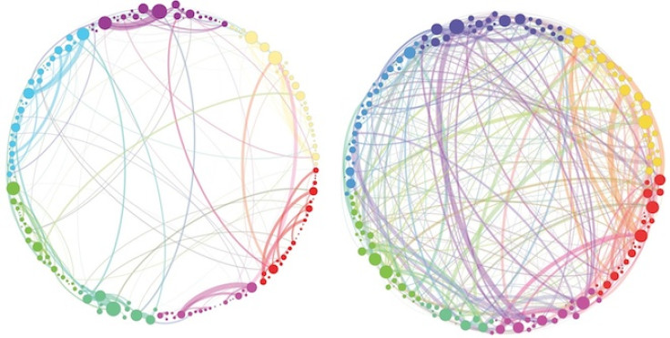 Map showing the connections between neurological activity in subjects given a placebo (left) and those given psilocybin (right) (Proceedings of the Royal Society Interface)