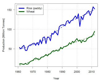 India Rice Wheat Production India Rice Wheat Production