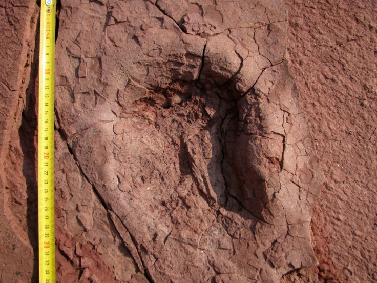 dinosaur tracks