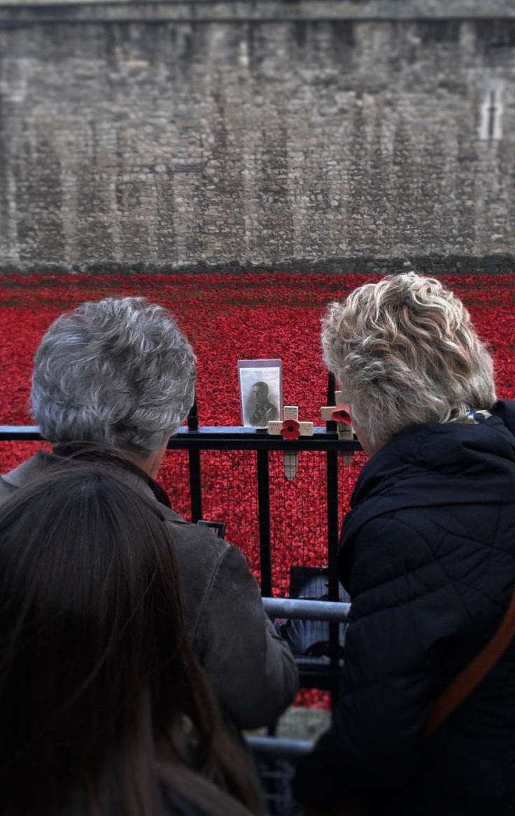 Tower Poppies