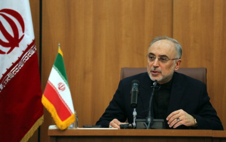 Head of Iran's Atomic Energy Organisation Ali Akbar Salehi