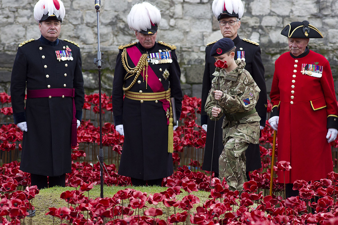 tower of london poppies