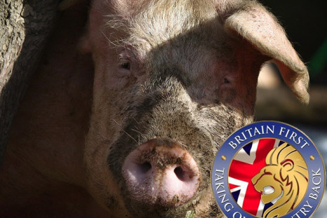 Britain First in zany new plot to halt mosque in Dudley by burying dead pig