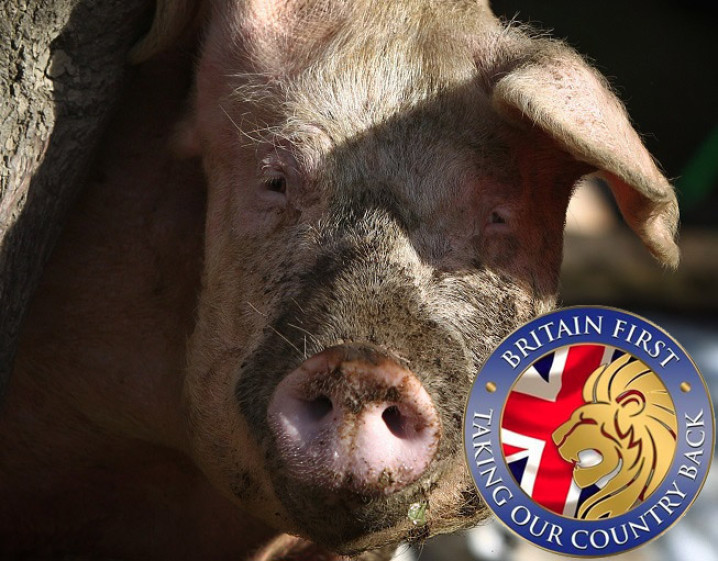 Britain First in zany new plot to halt mosque in Dudley by burying dead pig Britain First in zany new plot to halt mosque in Dudley by burying dead pig