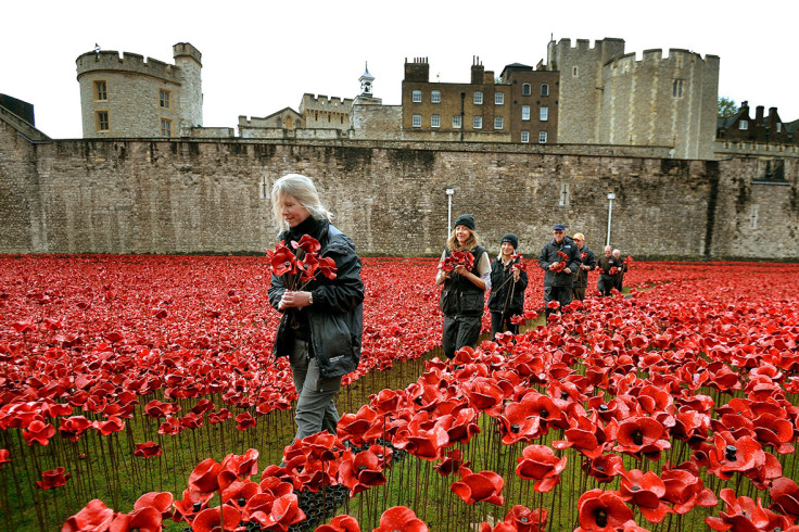 tower of london poppies