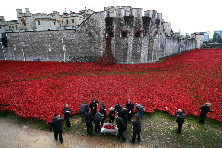 tower of london poppies