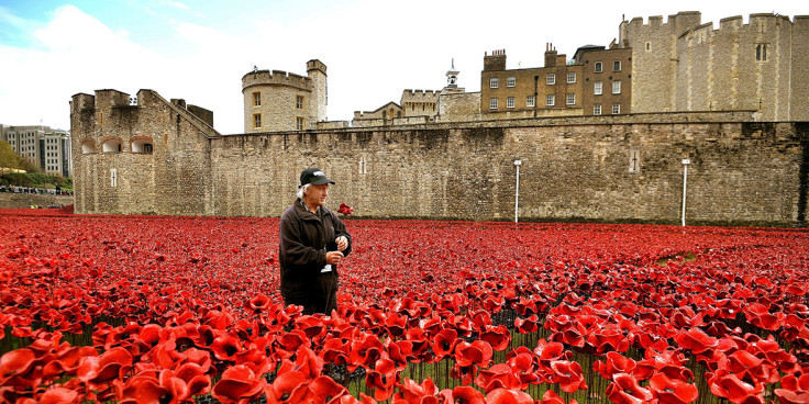 tower of london poppies