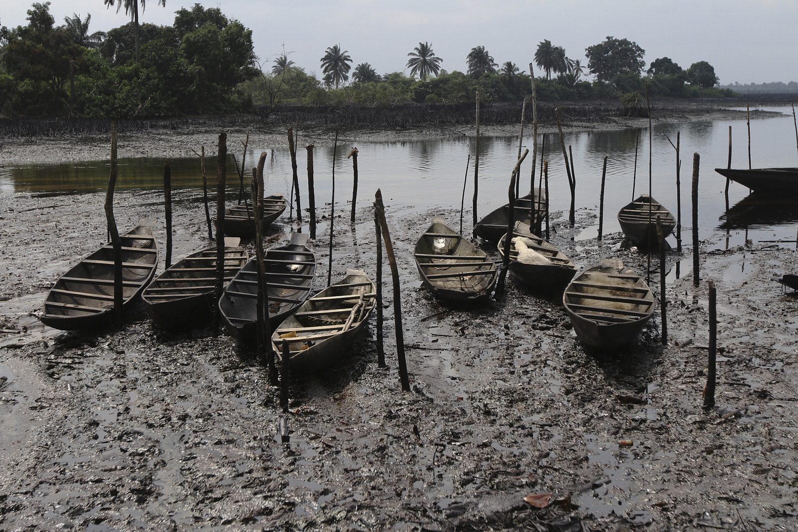 Shell Oil Spill Nigerias Ogoniland Clean Up Could Take 30 Years To