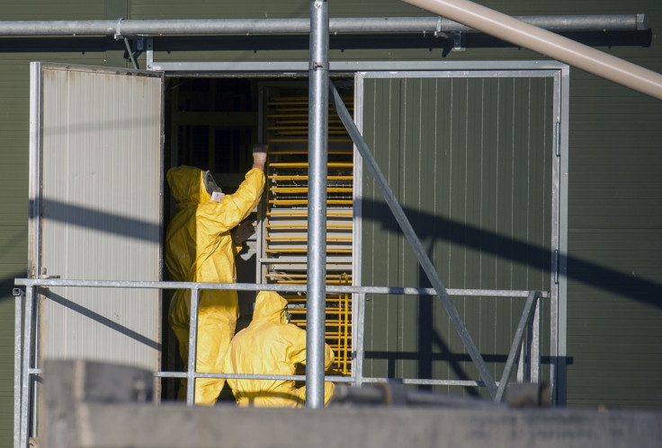 Officials in protective clothing at the farm in Hekendorp, Netherlands, where bird flu has been detected. (Reuters)