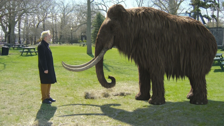 woolly mammoth