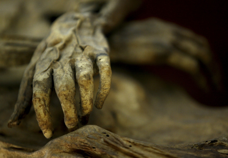The hands of a mummy in a Mexican museum. According to the reports the old woman had been kept so long her remains had mummified. (Reuters)