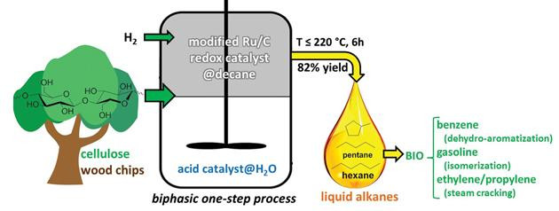 A diagram showing the chemical reactor process for converting cellulose in raw wood sawdust into petrol