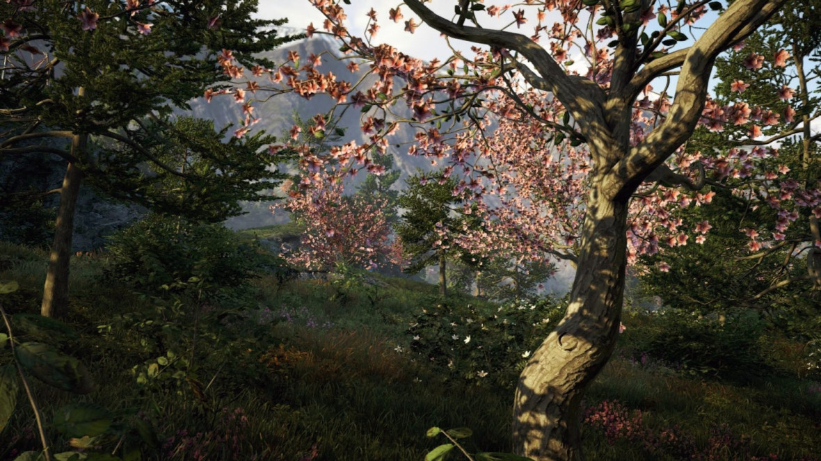 Far Cry 4 Far Cry 4