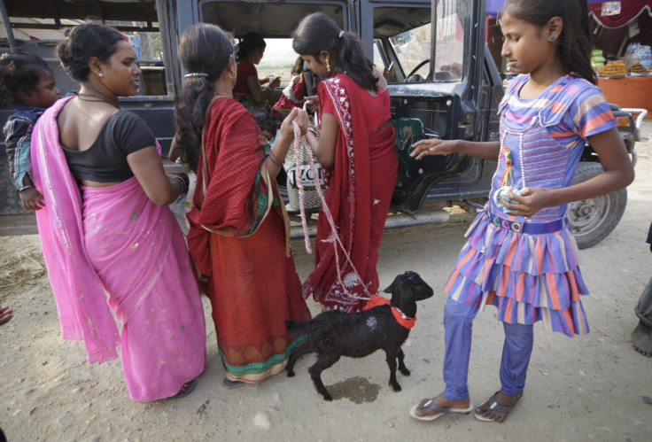 Gadhimai Festival animal sacrifice