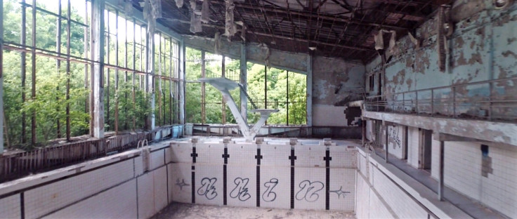 The shell of a public swimming pool which is being taken over by nature