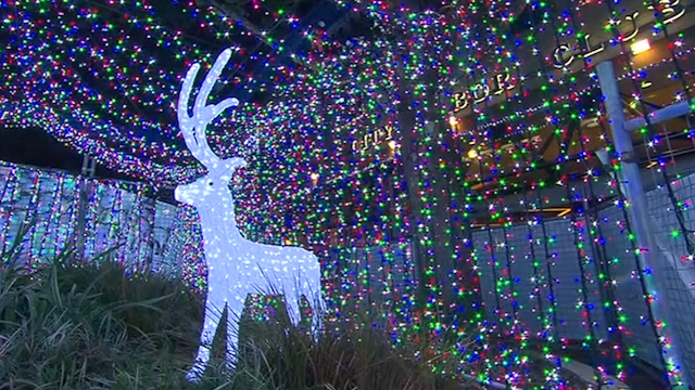 Canberra Christmas Lights Break Guinness World Record 2990