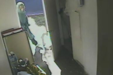The werewolf masked attacker pictured on CCTV (Handout)