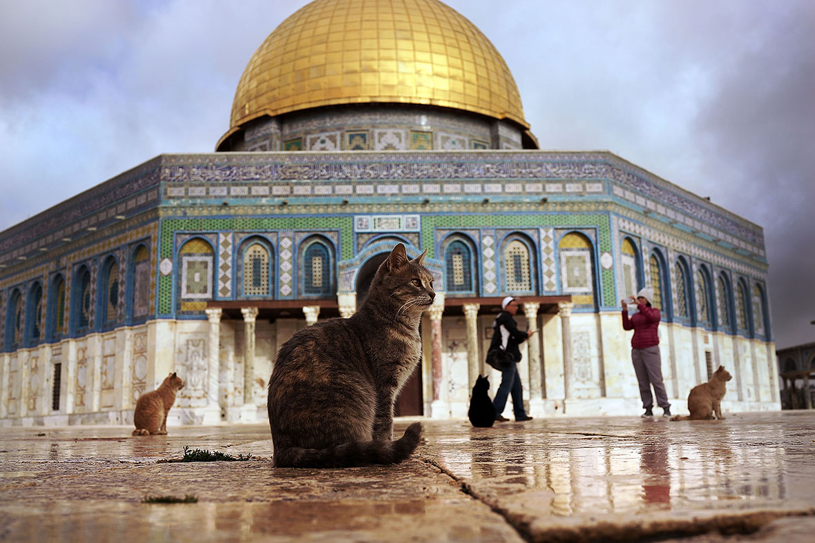 Jerusalem photos by Spencer Platt Jerusalem photos by Spencer Platt