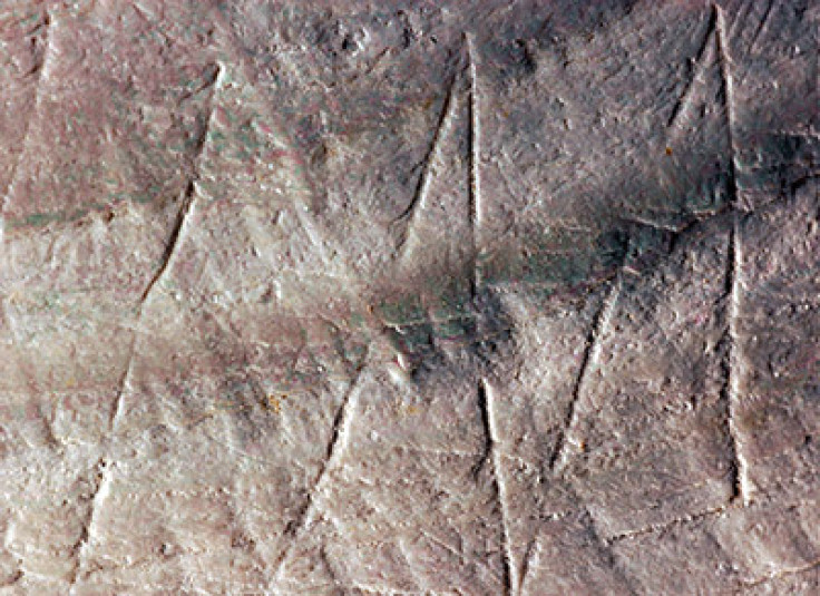 500,000 year-old engravings discovered on Indonesian shell
