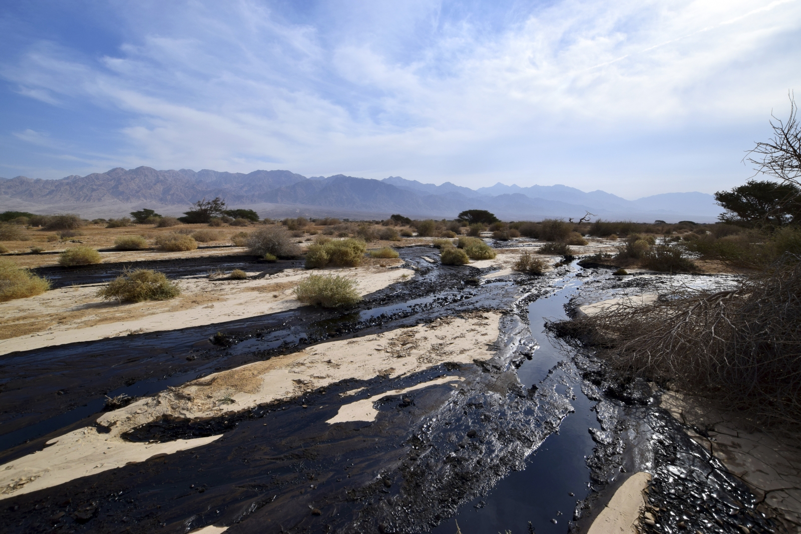 Millions of litres of oil spilled in nature reserve in one