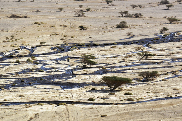 israel oil spill