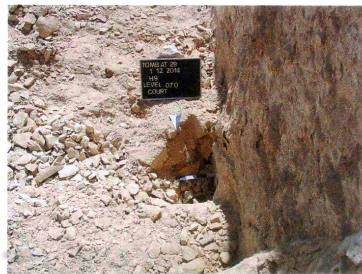 Where the singer of Amun sarcophagus was discovered