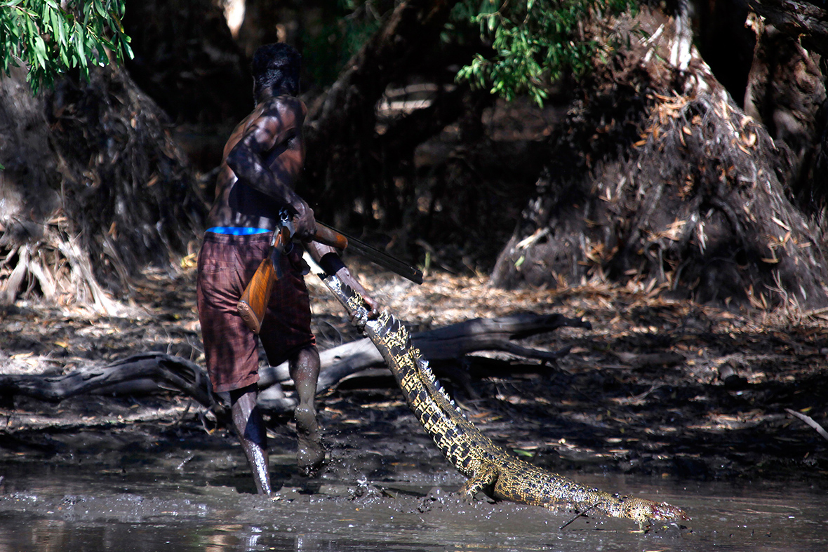 aboriginal crocodile hunters