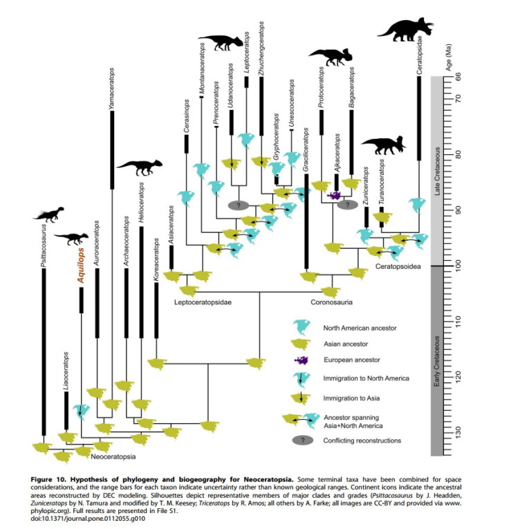 family tree