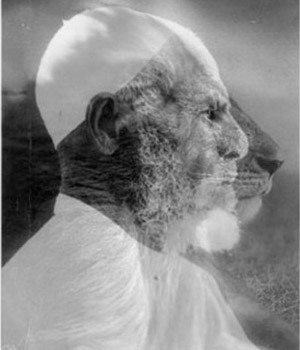 ShamiWitness ShamiWitness