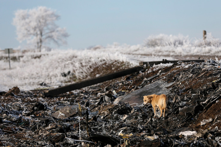 MH17 Ukraine