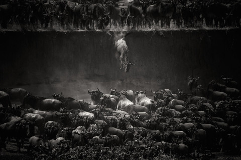 National Geographic Photo Contest 2014