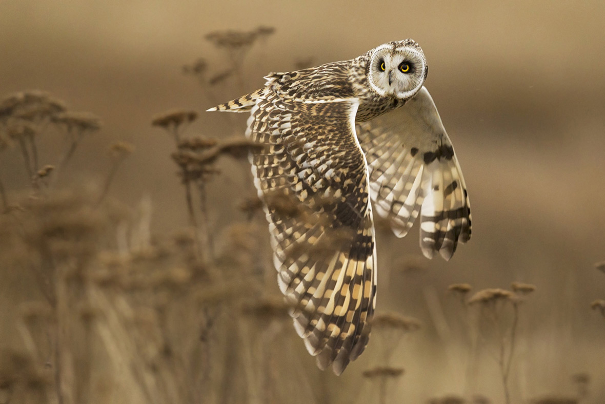 National Geographic 2014 Photo Contest Hong Kong's Brian Yen wins