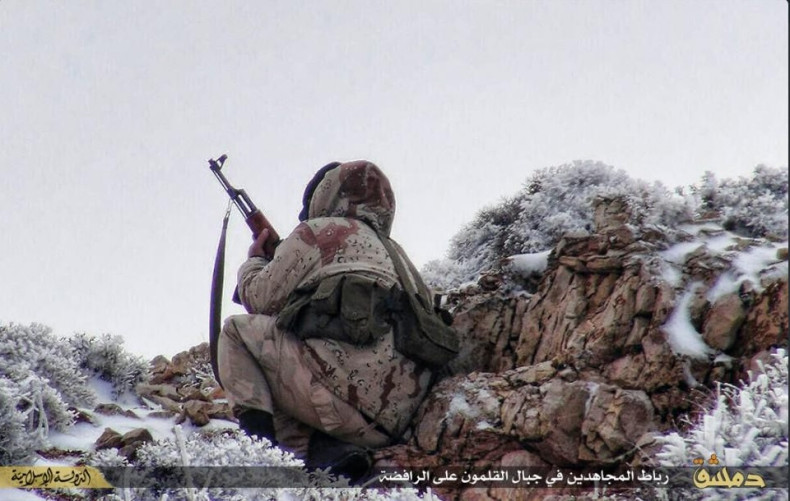 IS fighter waits in snow