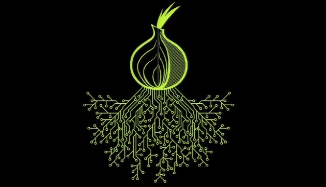 tor project website